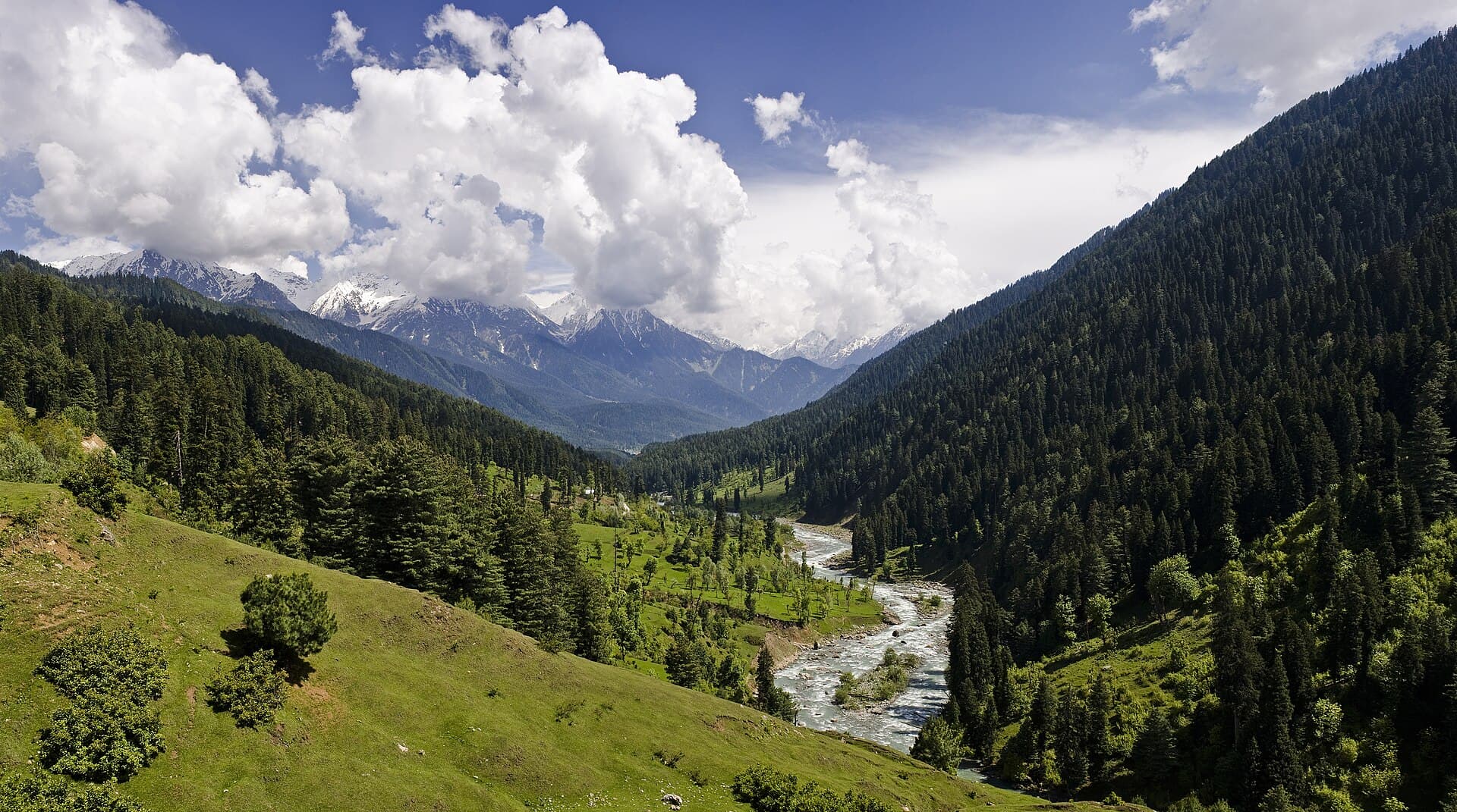 The Lidder Valley near Pahalgam with pine-covered Himalayan slopes