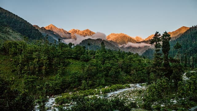 Beautiful Kashmir landscape with brown chinar trees in Chatpal - Aleeza Travels destination